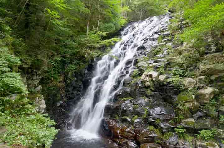 �z��E�ÎR�s